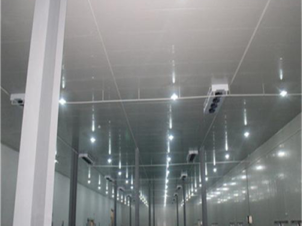 建造安裝食品低溫冷藏庫有哪些因素影響造價？